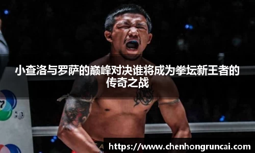 小查洛与罗萨的巅峰对决谁将成为拳坛新王者的传奇之战