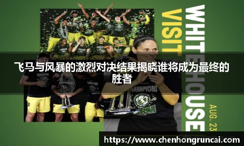 飞马与风暴的激烈对决结果揭晓谁将成为最终的胜者
