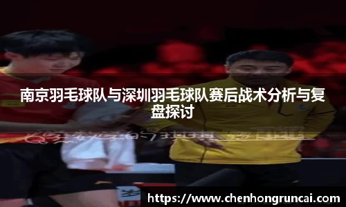 南京羽毛球队与深圳羽毛球队赛后战术分析与复盘探讨